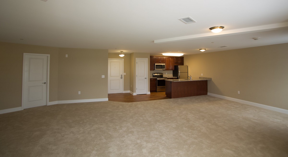 A modern open space basement apartment with a kitchen area and carpeted floors.