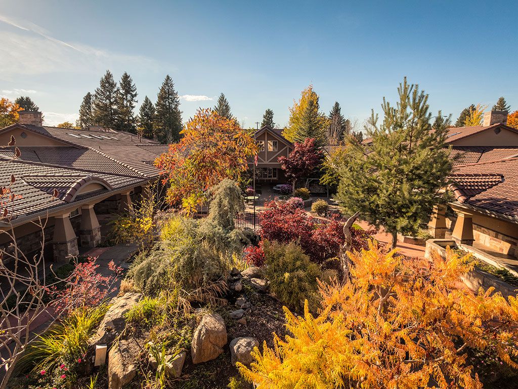 A beautiful autumn garden with vibrant foliage and diverse trees under a clear sky.