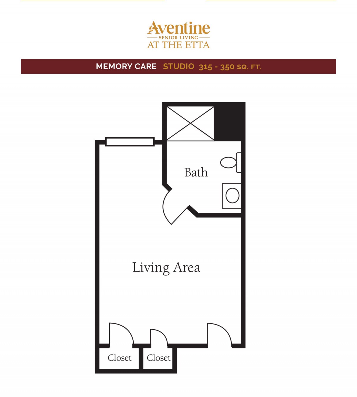 This is a floor plan of a studio apartment featuring a living area, bath, and closets.