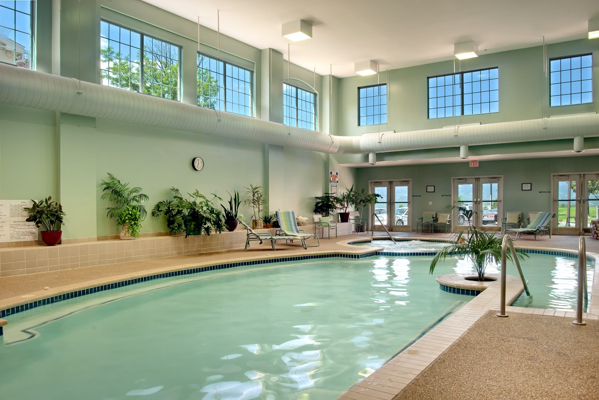 A serene indoor swimming pool surrounded by greenery and bathed in natural light.