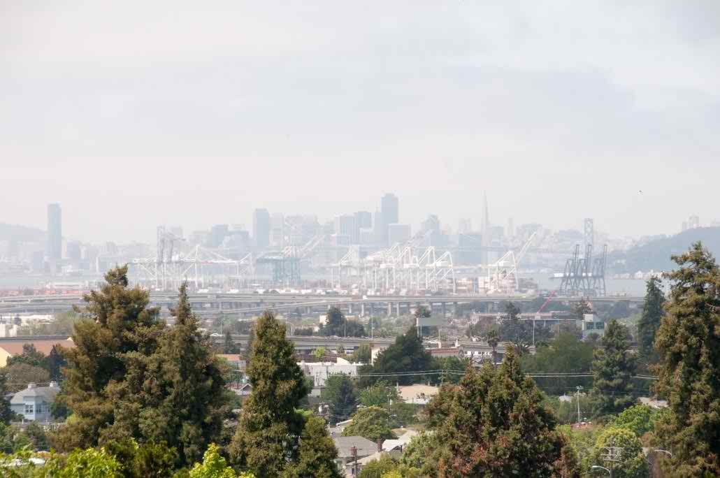 A hazy view of a city skyline with trees in the foreground.