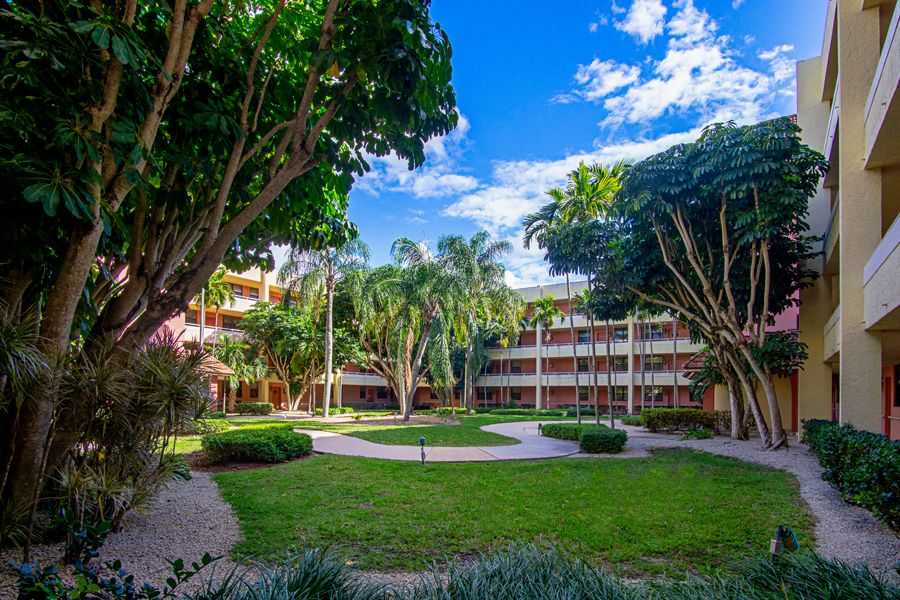 A serene courtyard with lush greenery and surrounding buildings under a clear blue sky.