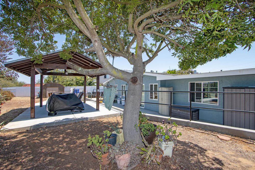 A backyard view featuring a large tree providing shade next to a patio area with outdoor furniture.