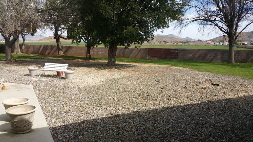 A tranquil outdoor scene featuring a tree, a bench, and surrounding gravel under a clear sky.
