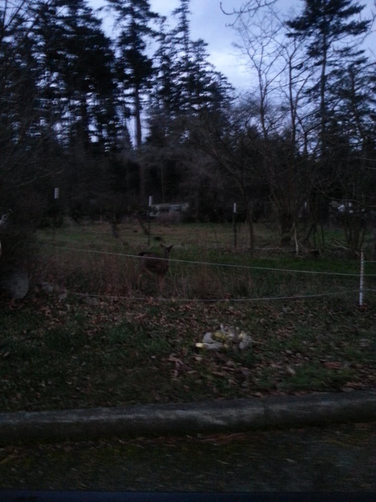 Careage Of Whidbey