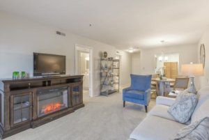 A cozy and modern living room featuring a fireplace, television, and comfortable seating.