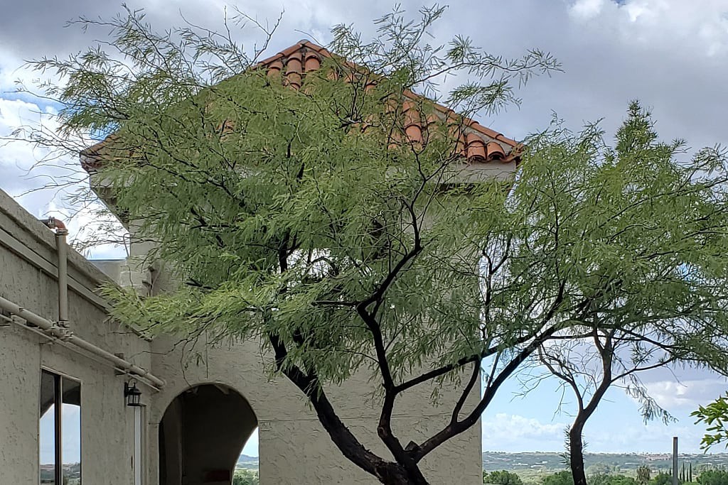 Elderhaven Assisted Living
