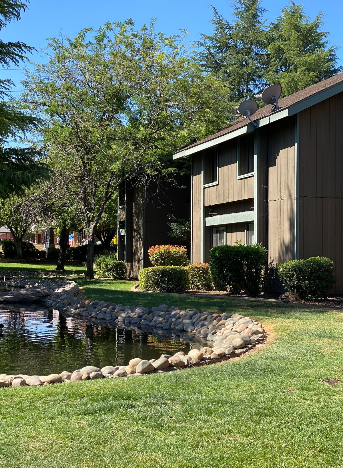 A serene apartment complex with a pond and lush greenery.