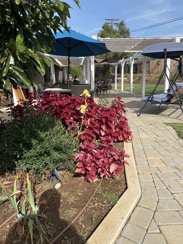 A sunny garden patio with vibrant red and green plants, surrounded by seating and umbrellas.