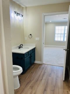 A bathroom with a vanity, sink, and toilet leading into a carpeted room.