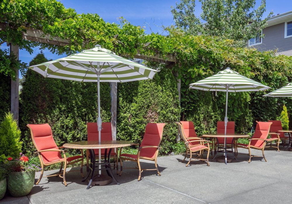 A sunny outdoor patio with tables, chairs, and umbrellas amidst lush greenery.