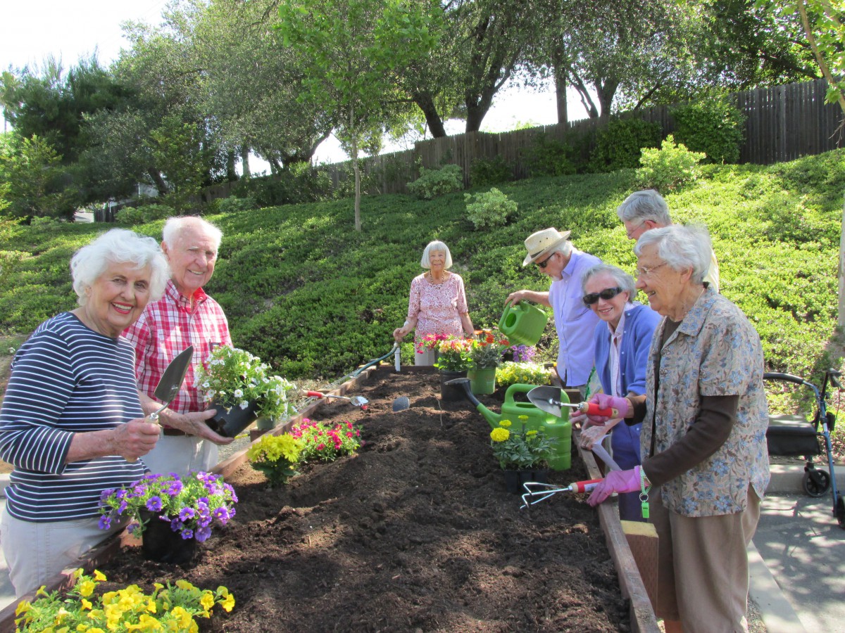 A group of seniors enjoying gardening together, planting flowers in a community garden.