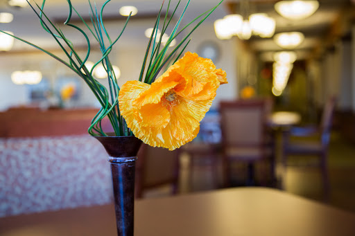 A vibrant orange flower arrangement in a decorative vase, adding a touch of color to the interior space.