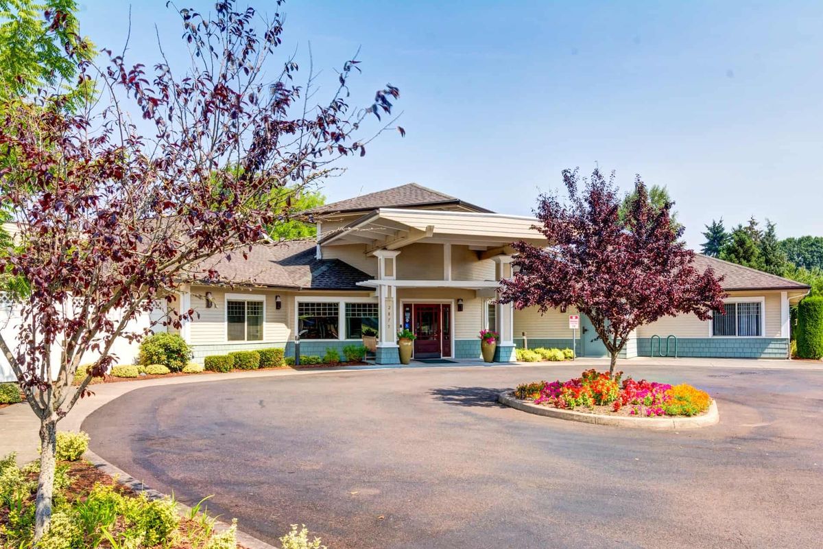 A sunny day view of a modern house with well-maintained landscaping and trees lining the driveway.