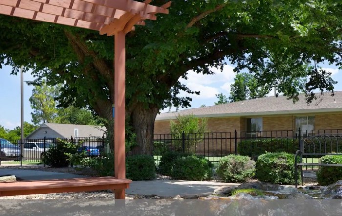 A wooden pergola in a garden with a tree and a house in the background.