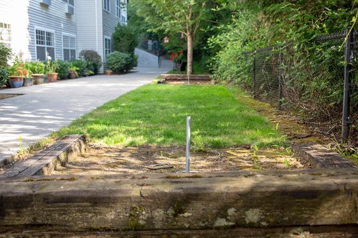 A neatly maintained yard with a driveway, bordered by trees and a fence.