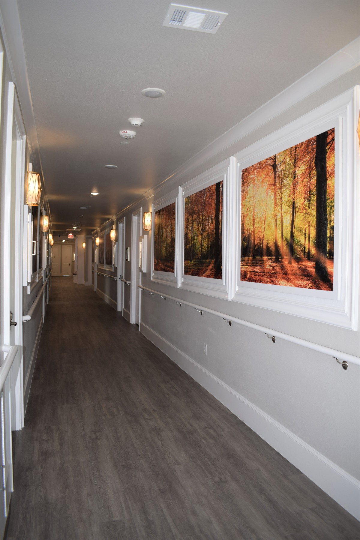Avalon Memory Care
