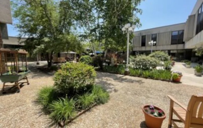 A tranquil garden area with trees, plants, and a clear pathway on a sunny day.