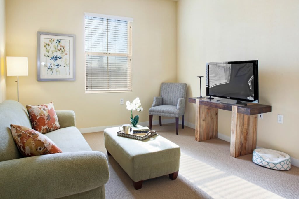 A cozy living room with a sofa, chair, coffee table, and television.