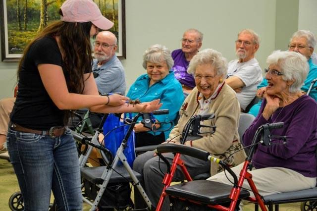 A group of seniors engaging with a presenter in an indoor setting.