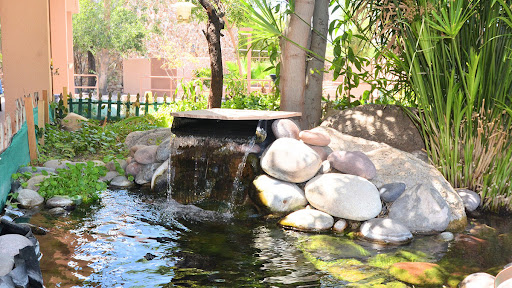 A peaceful garden feature with a gentle waterfall cascading over smooth stones.