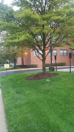 A serene outdoor scene featuring a tree beside a building, with well-maintained grass and landscaping.