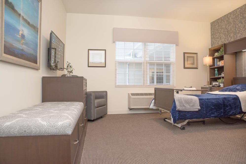 A hospital room with a bed, television, and window, featuring modern interior design.