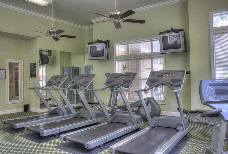 A well-equipped gym featuring multiple treadmills and ceiling fans.