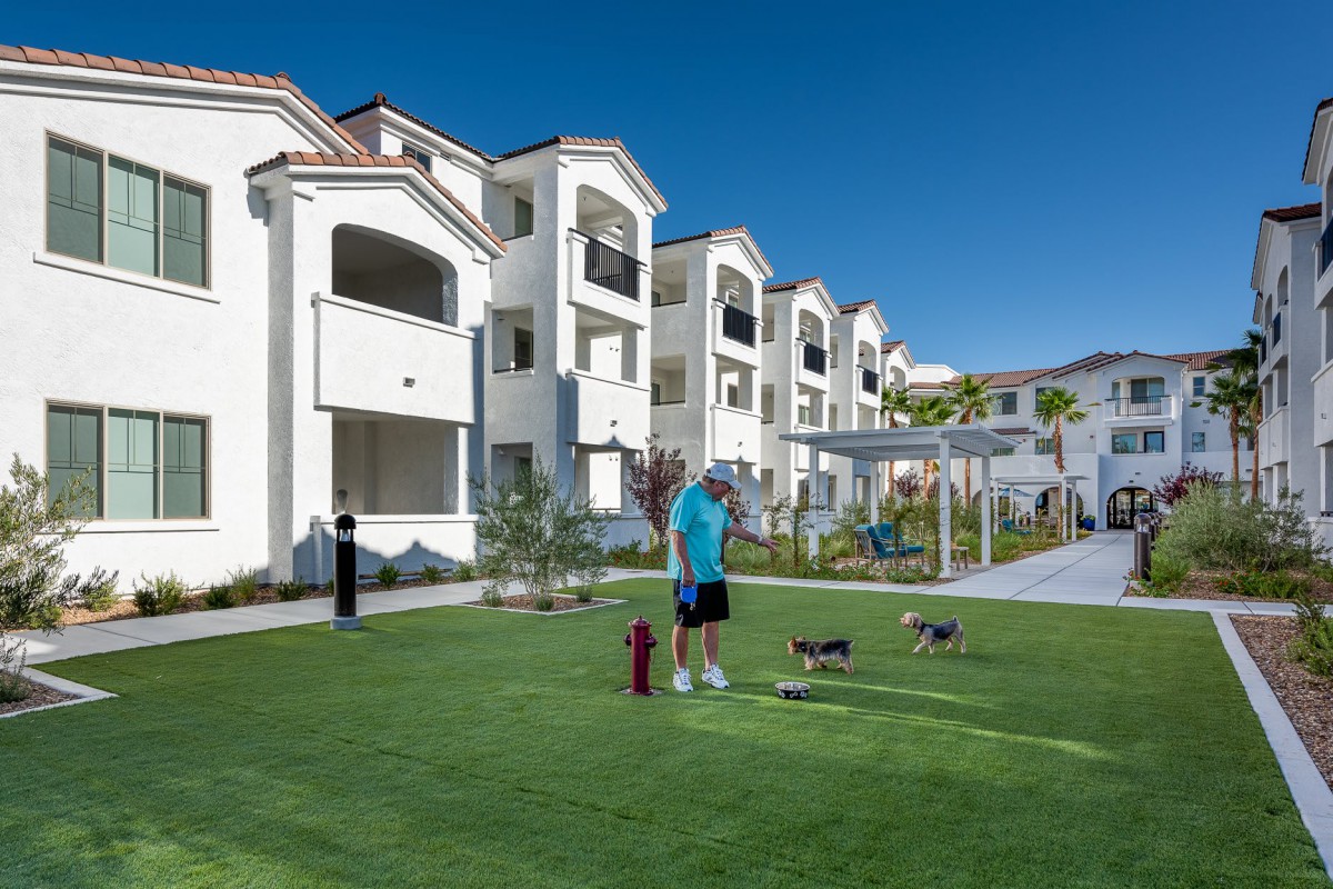 A man walks his dogs in front of a modern apartment complex on a sunny day.