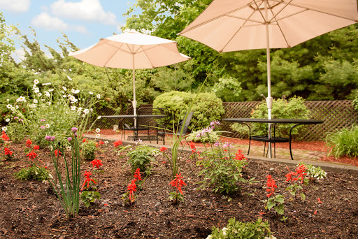 A serene garden setting featuring vibrant red flowers, lush greenery, and shaded seating under stylish umbrellas.