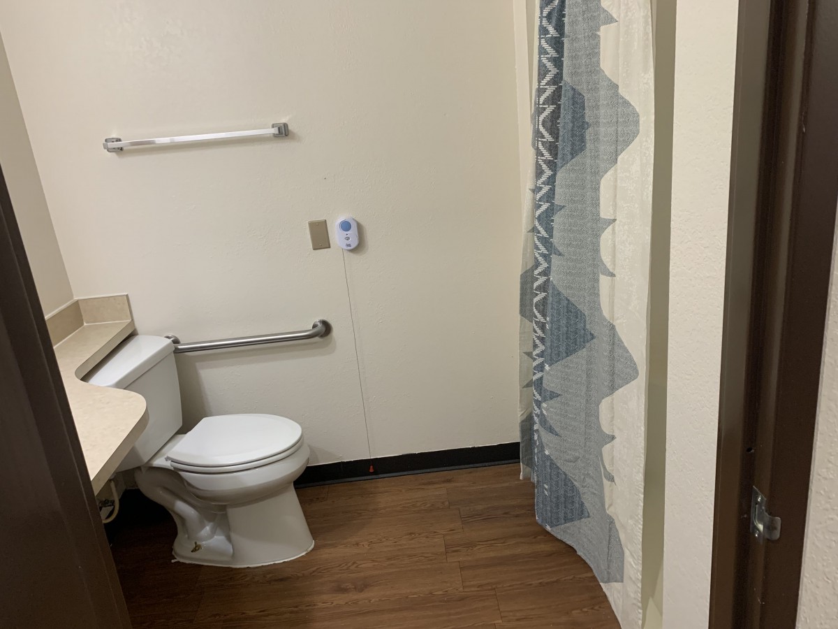A bathroom with a toilet, shower with curtain, and handrails.