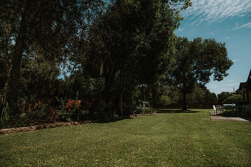 A serene outdoor scene with lush green grass and tall trees under a clear sky.