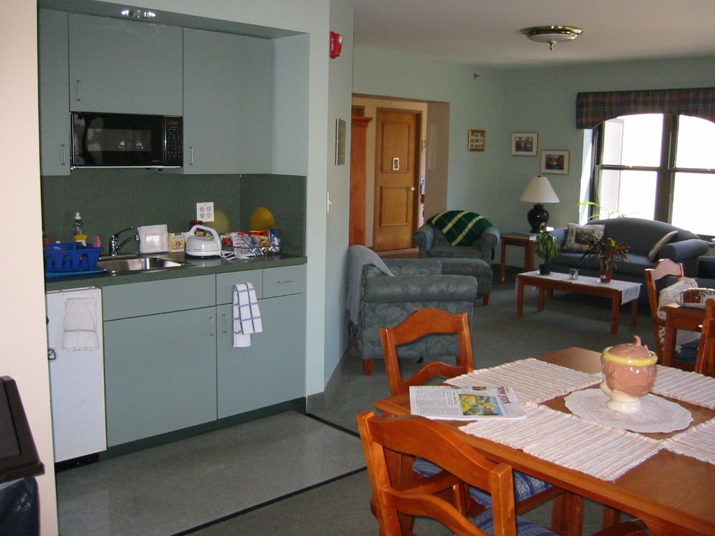 An open-plan kitchen and living area in a cozy home setting.