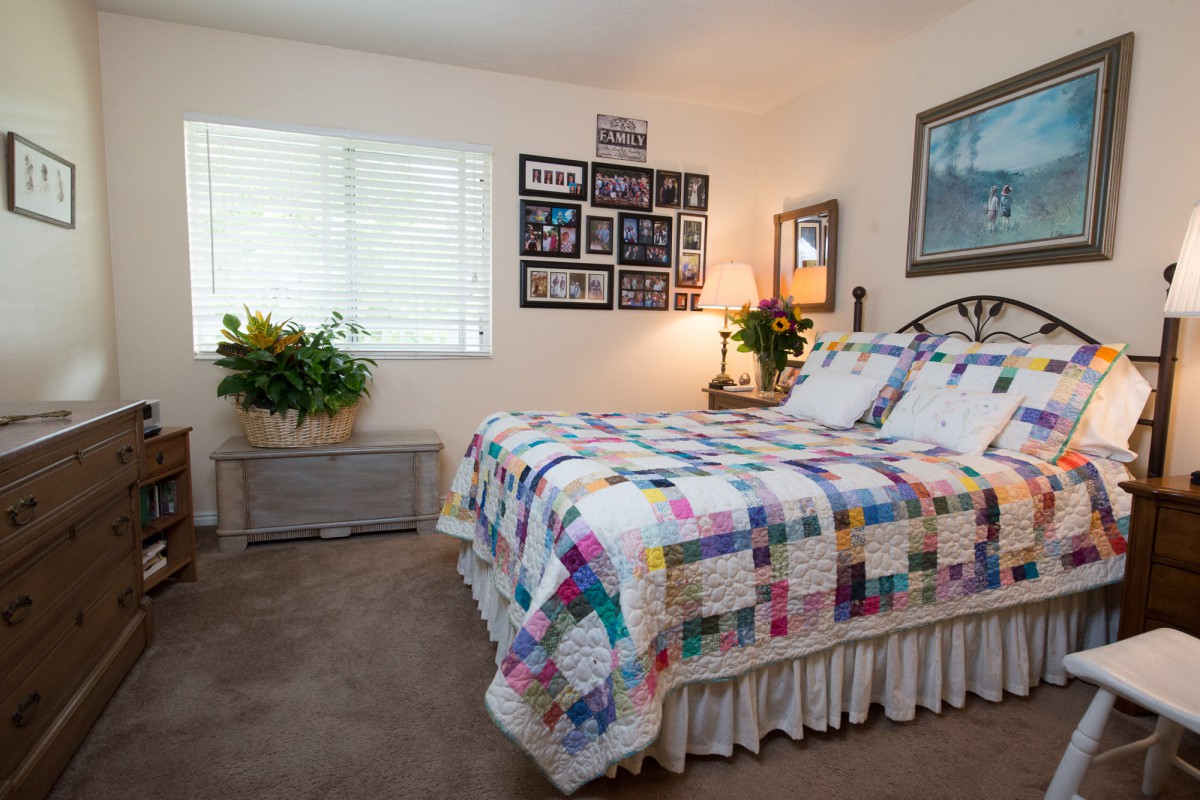 A cozy, well-decorated bedroom featuring a colorful quilt on the bed, wall art, and plants by the window.