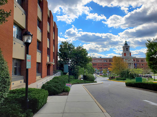 A scenic view of a pathway lined with greenery, leading towards a building under a partly cloudy sky.