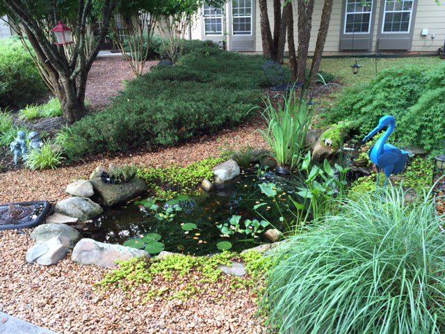 A serene garden pond surrounded by lush greenery and rocks.