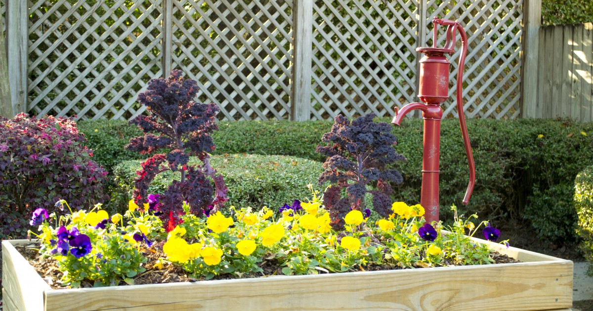 A colorful garden bed with yellow and purple flowers, featuring a decorative red water pump.
