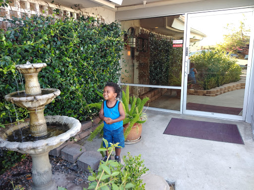 A child playing near a decorative fountain surrounded by lush plants.