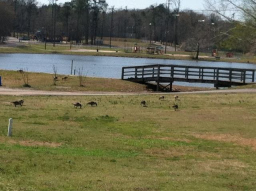 Maplewood Lane Assisted Living