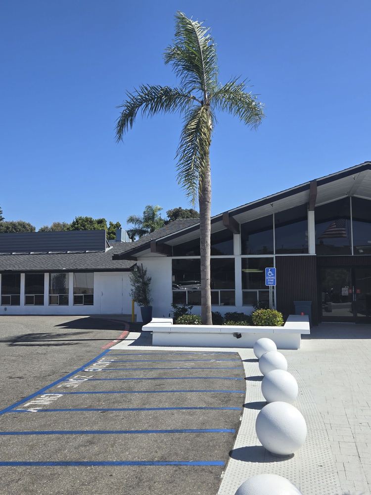 A modern building with a palm tree at the entrance under a clear blue sky.
