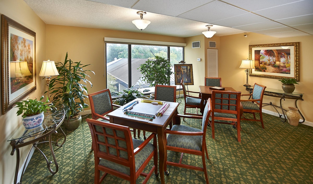 A well-lit meeting room with a conference table, chairs, and indoor plants near a large window.