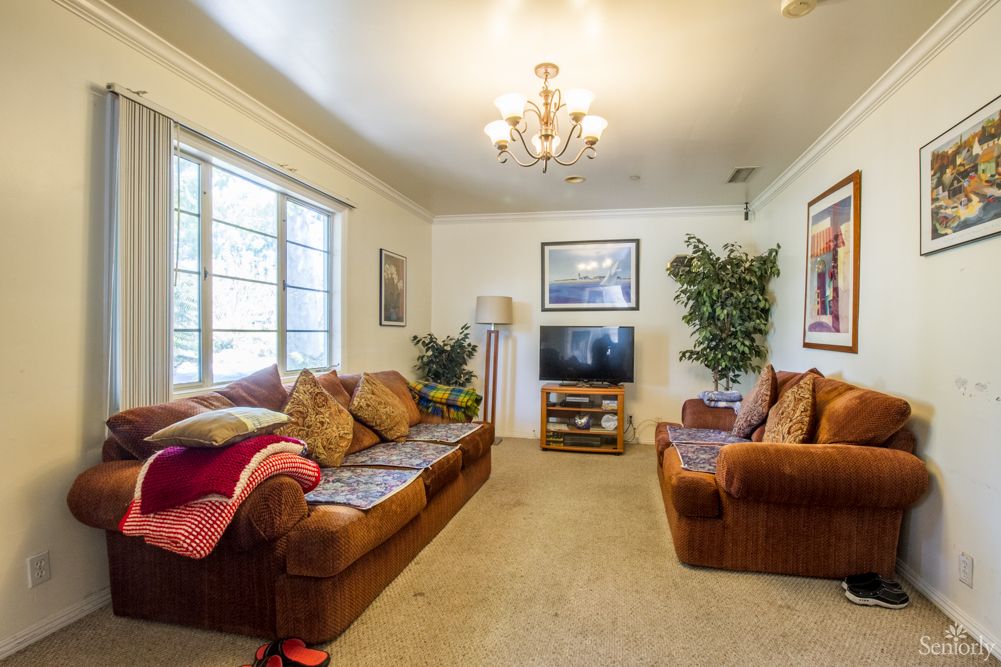 A cozy living room featuring a brown sofa, armchair, and a TV with decorative elements like plants and artwork.