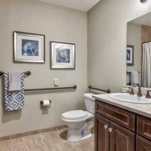A well-decorated bathroom with a sink, toilet, and wall art.