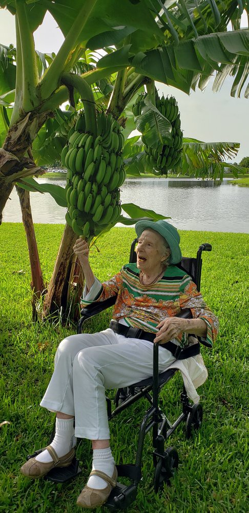 An elderly person in a wheelchair smiles under a banana tree by a lakeside.