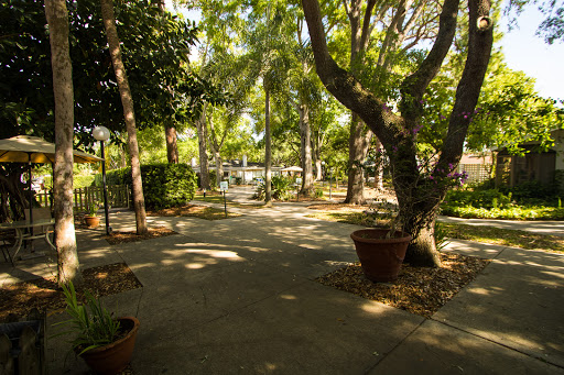 St Petersburg Nursing & Rehabilitation