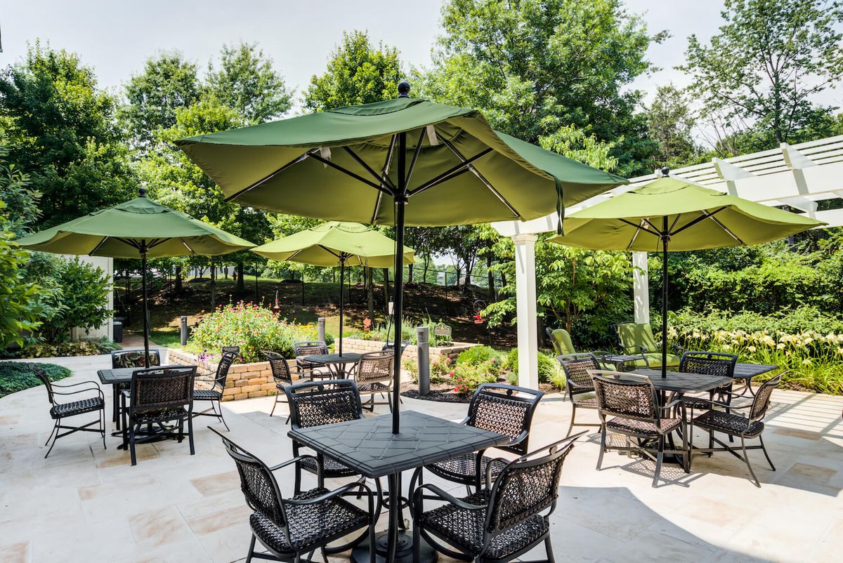 An outdoor patio with tables, chairs, and green umbrellas set amidst lush greenery.