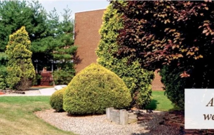 Well-maintained shrubs and trees in a landscaped area near a building.