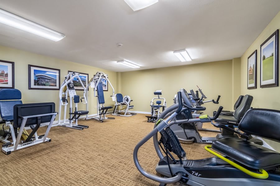 A well-equipped gym with various fitness machines and treadmills ready for use.