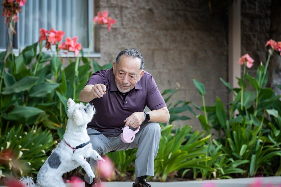 A man kneels in a garden playing with his dog on a leash.
