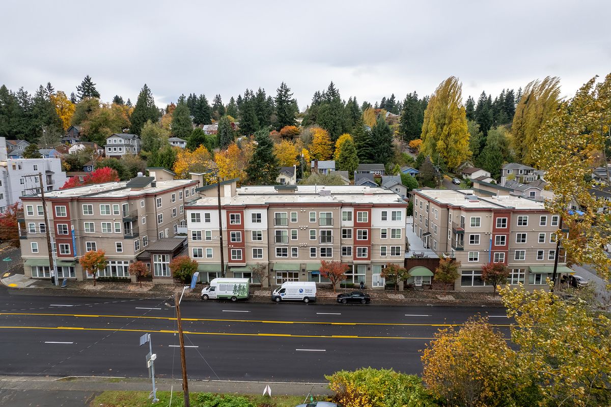 A view of apartment buildings on a tree-lined street during autumn.